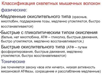 Мышечное окисление