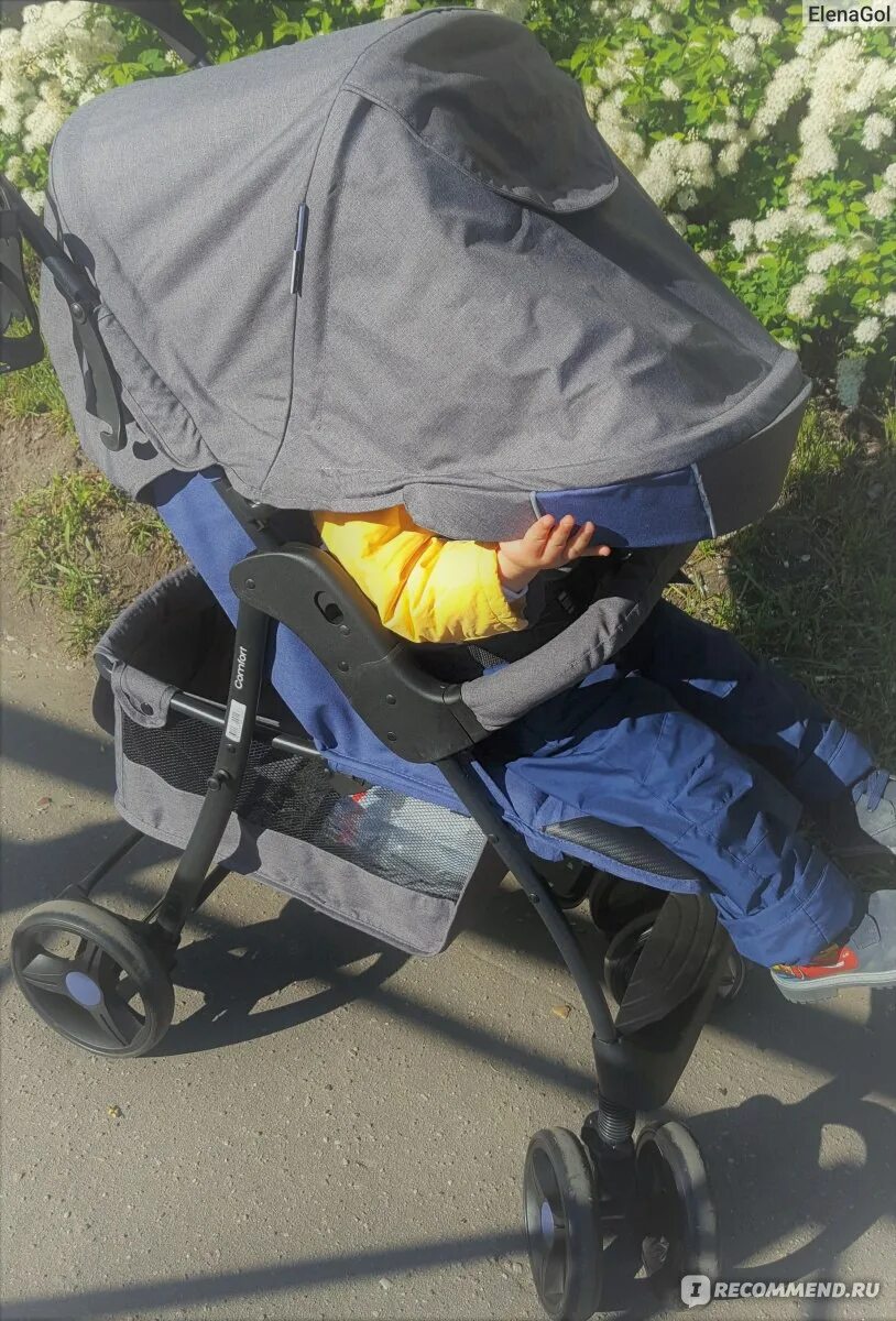 Отзыв о Прогулочная коляска Babyton Beige Полюбила эту малышку