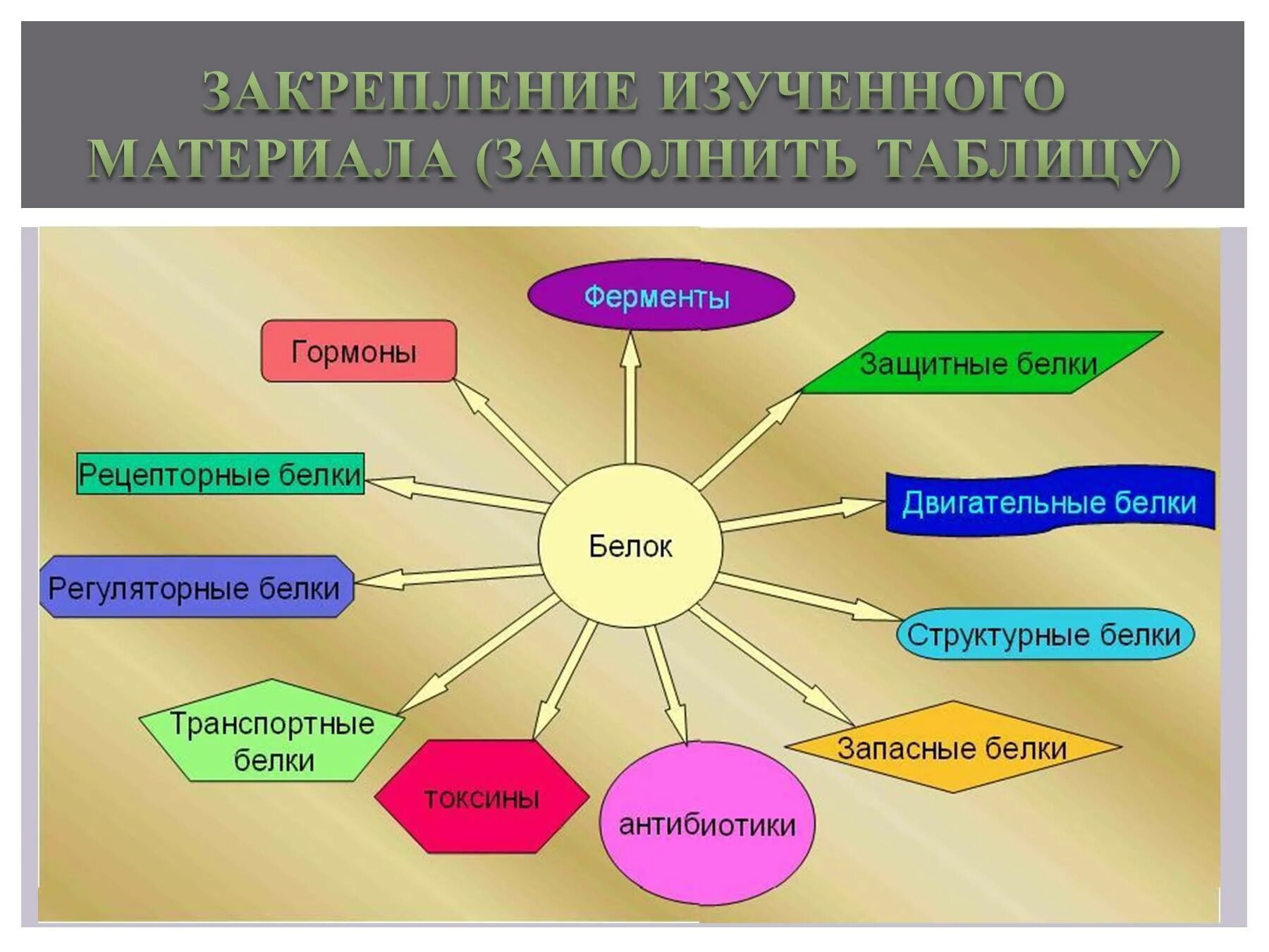 Функции белков. Белки функции. Виды белков. Двигательную функцию выполняют белки.