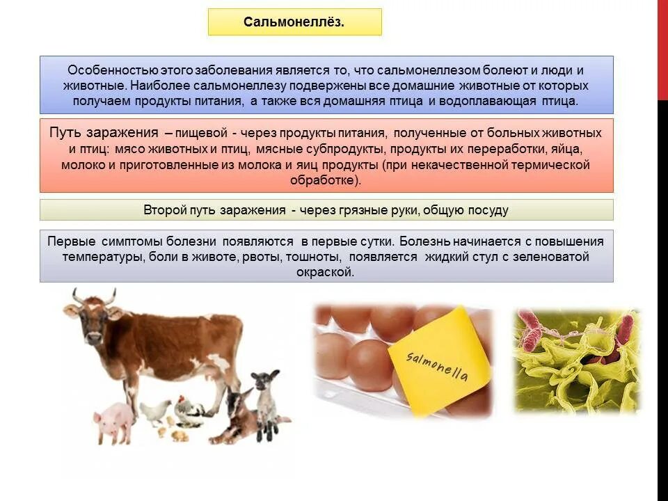 Симптомы заражения сальмонеллезом. Сальмонеллы симптомы заболевания. Сальмонеллез профилактика заболевания. Инфекционные заболевания сальмонеллез. Гастроинтестинальная форма сальмонеллеза