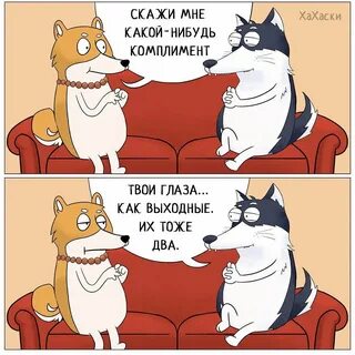 Какой нибудь смешные картинки