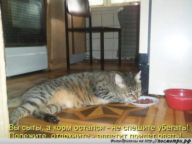 Еда перед телевизором. Почему нельзя ложиться после еды сразу. Вздремнуть после обеда. Полежать после обеда. Мужчина лежит на диване с едой фото.