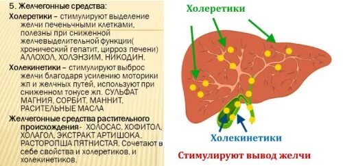 Масло для желчного пузыря. Желчегонные лекарственные средства механизм действия. Препараты для выведения желчи из желчного пузыря. Желчегонные препараты механизм действия. Таблетки для выведения желчи из желчного.