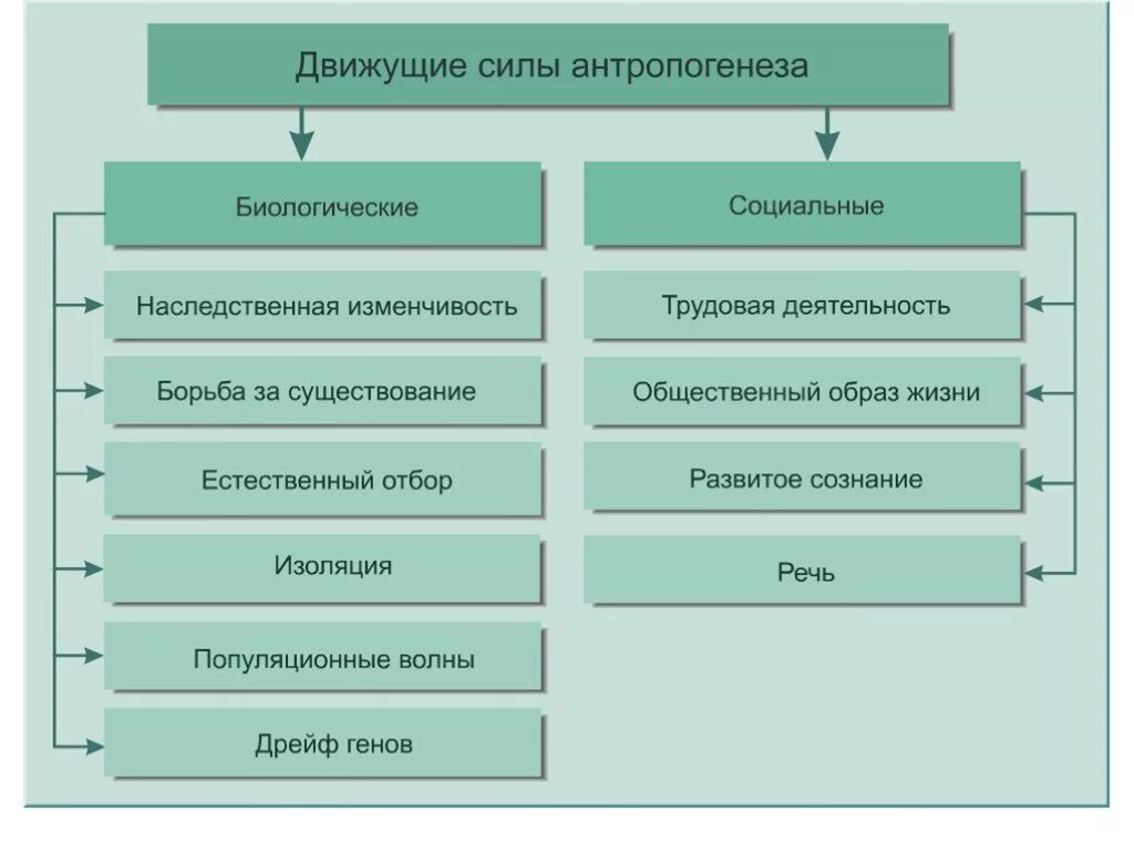 Движущая сила появления признака. Движущие силы антропогенеза презентация 11 класс. Движущие силы антропогенеза социальные и биологические факторы. Движущие силы антропогенеза 11 класс. Факторы движущие силы антропогенеза схема.