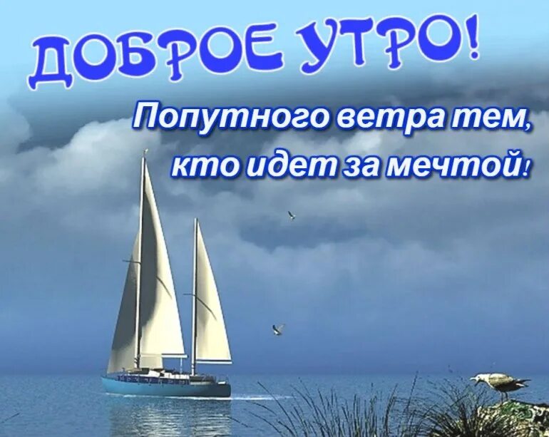 Пожелание попутного ветра. День попутного ветра. Доброе утро попутного ветра. С днем рождения попутного ветра. День попутного ветра 10 августа.