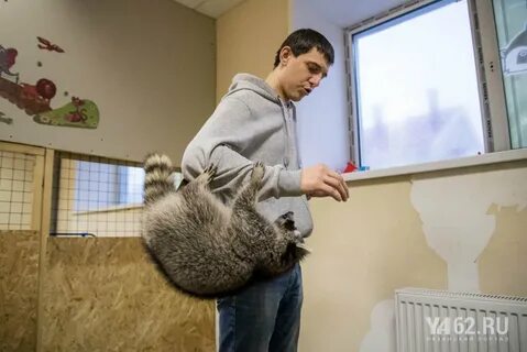 Енотсбург рязань