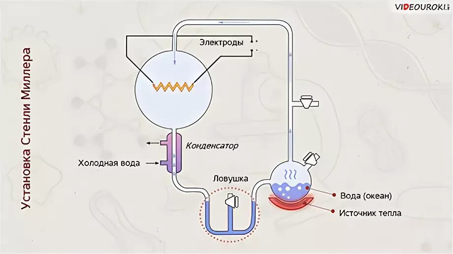 Опыт Опарина и Холдейна. Теория Опарина Холдейна опыт. Гипотеза опыта Опарина Холдейна. Гипотеза Холдейна – Опарина, опыт Юри.
