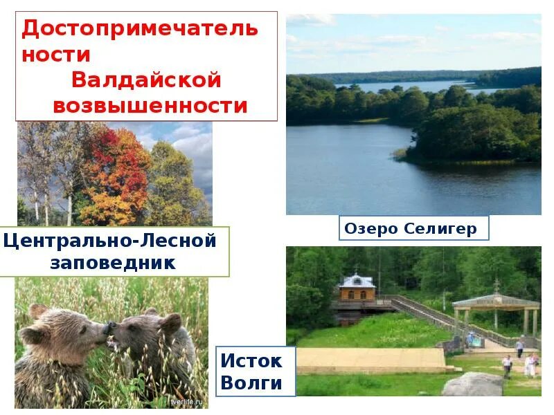 Тема Природа Тверской области