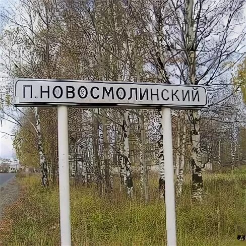 Поселок Новосмолинский. Новосмолинский поселок Нижегородская область. П Новосмолинский Володарский р-н Нижегородская область.