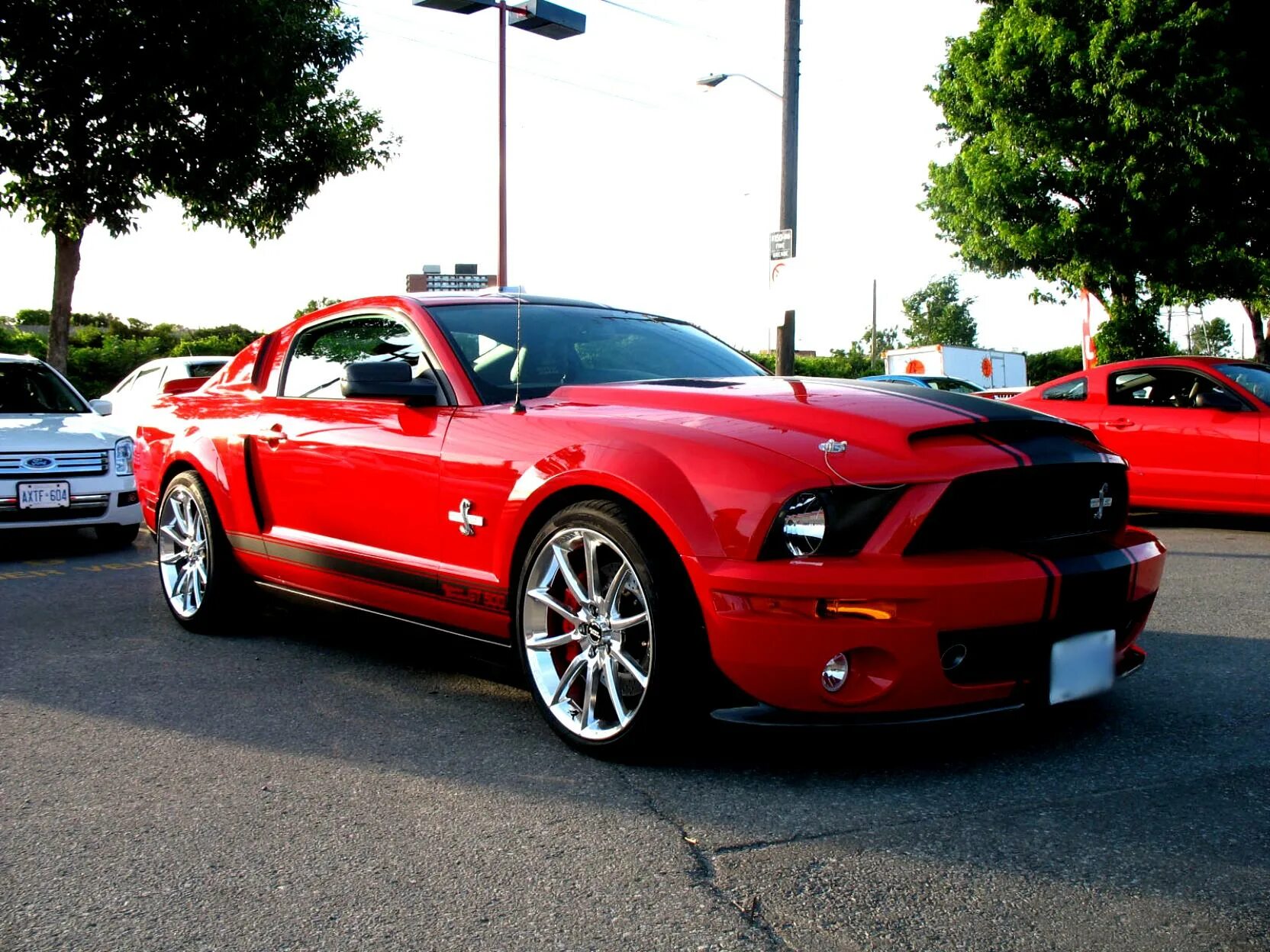 Мустанг адрес. Ford Shelby super Snake 2008. Ford Mustang Shelby gt500 2007. Shelby Mustang gt500 super Snake 2007. Shelby gt500 super Snake.