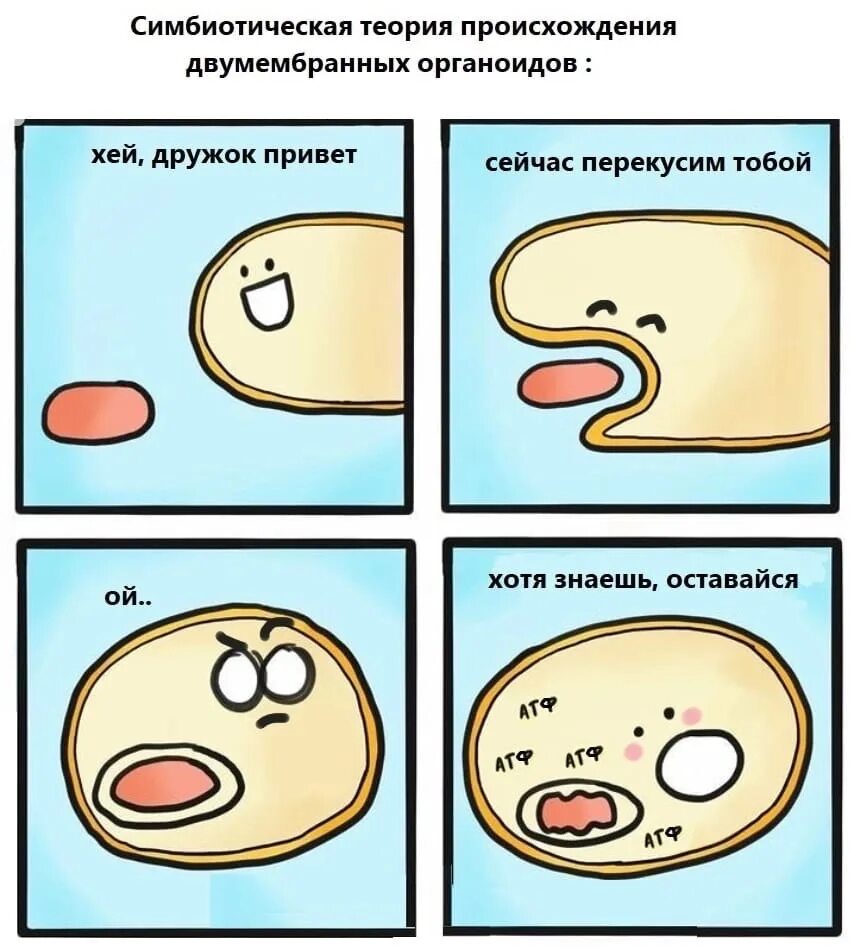 Mem hub. Меме хаб. hub мем. егэ хаб биология. регенерация мем.