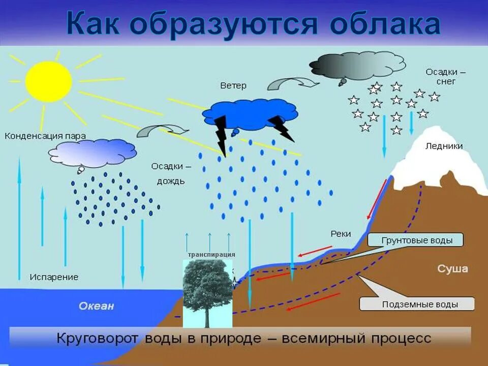 Как образуются облака. Образование облаков и осадков. Процесс образования облаков. Круговорот воды транспирация.