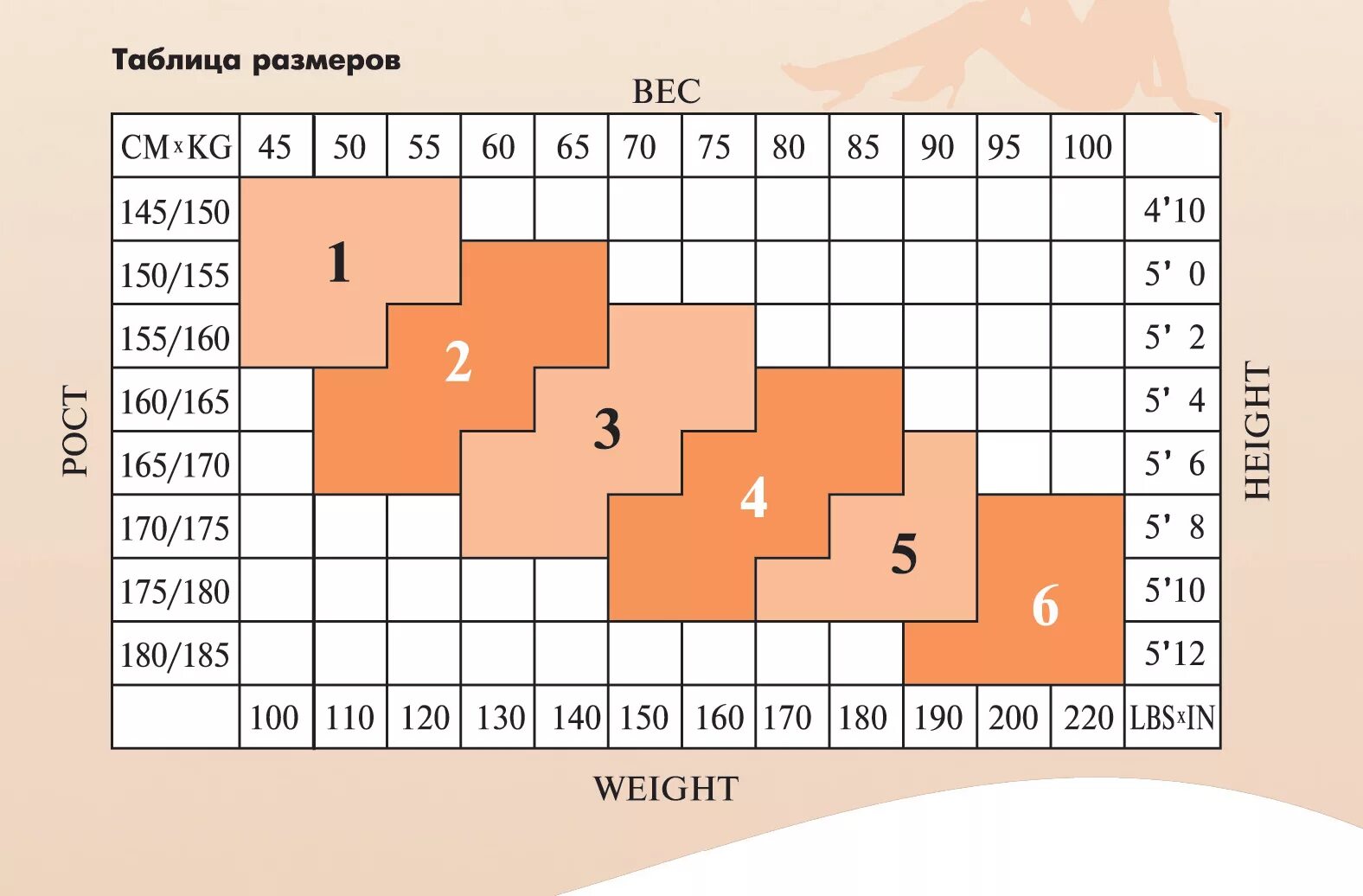 Размерная таблица капроновых колготок. Капроновые колготки Размерная сетка. Размерная сетка капроновых колгот. Размерная сетка колготок женских капроновых. Какой размер колготок нужен