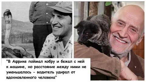 В мире животных есть симпатия