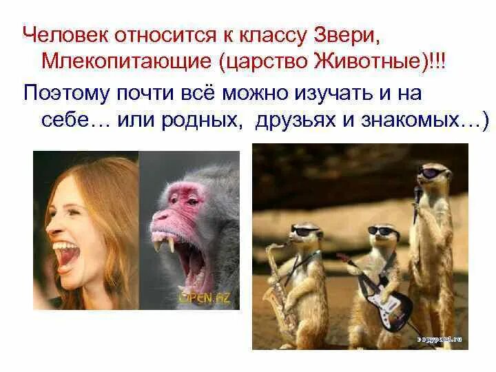 Выбери утверждения относящиеся к млекопитающим
