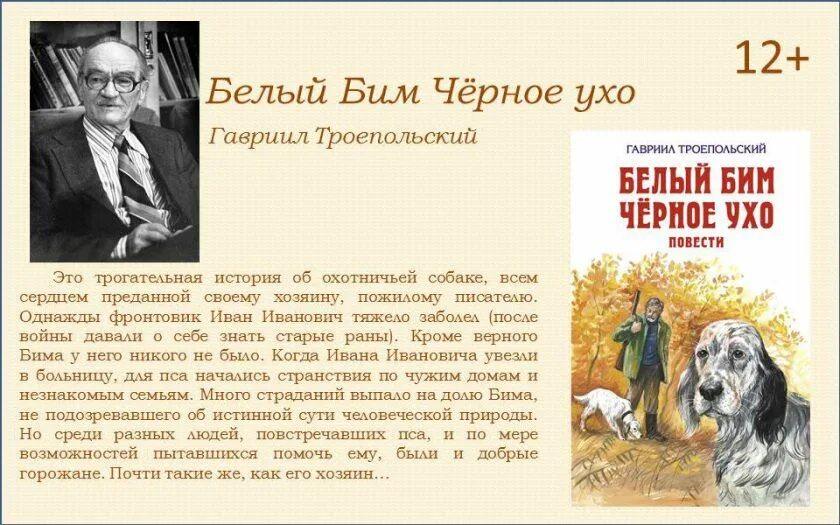 Читать книги бим черное ухо. Троепольский белый Бим черное. Белый Бим,черное ухо г. Троепольского,. Г Н Троепольский белый Бим черное ухо. Троепольский белый Бим черное ухо книга.