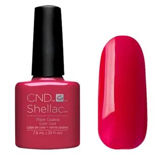 Shellac группа