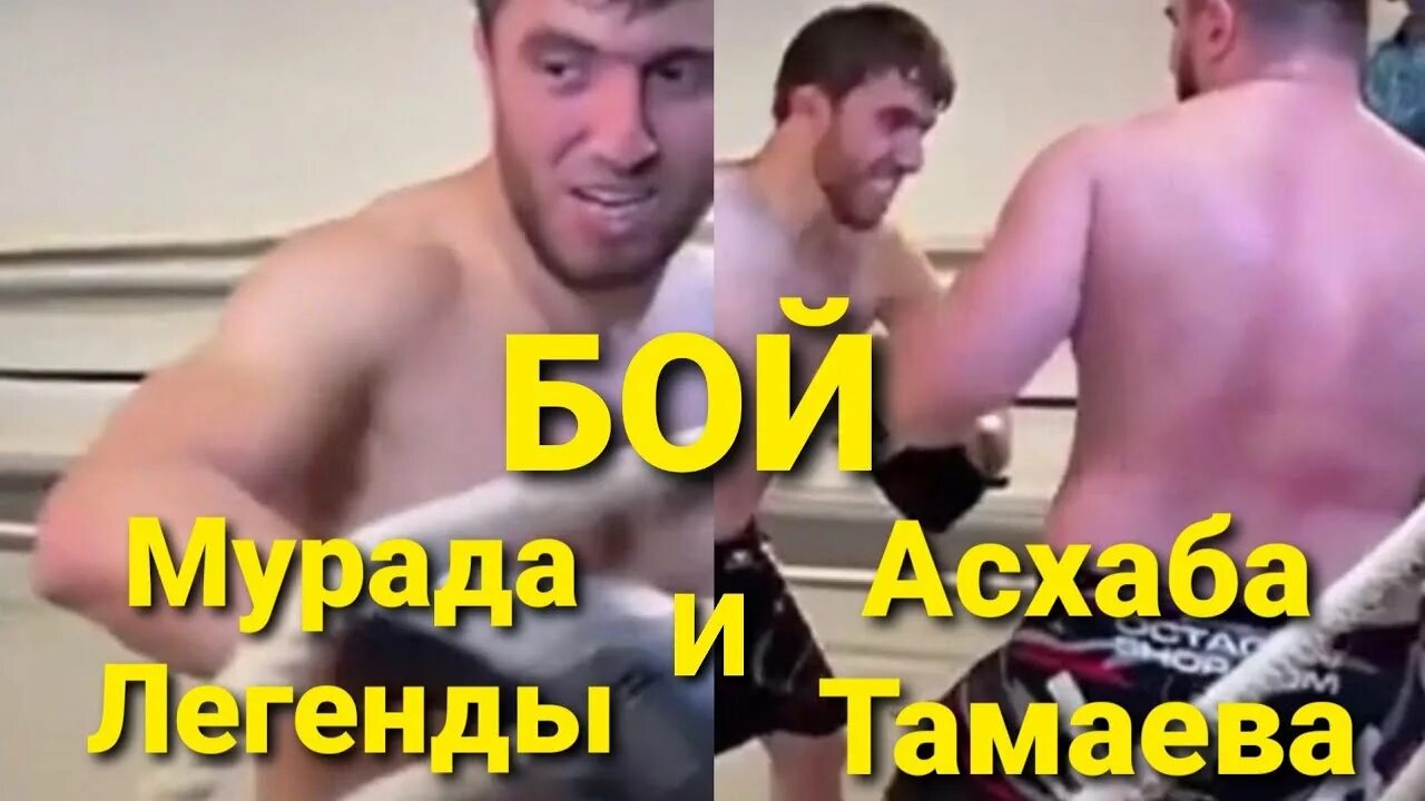 Мурад Легенда бой. Асхаб Тамаев и Мурад. Асхаб Тамаев против тиктокера.