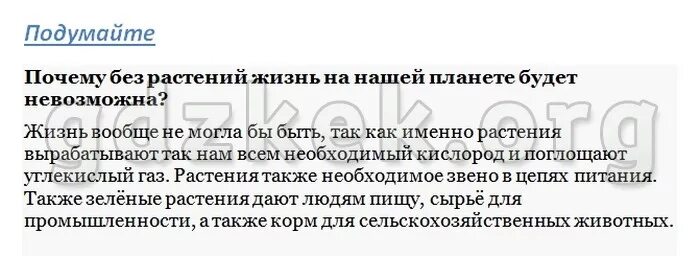 Жизнь растений том 3. Почему без растений невозможна жизнь на земле. Почему жизнь без растений невозможна. Почему жизнь животных невозможна без растений. Почему жизнь животных и грибов невозможна без растений.