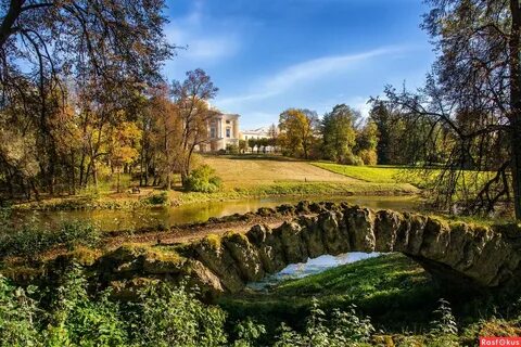 Павловск ленинградская область
