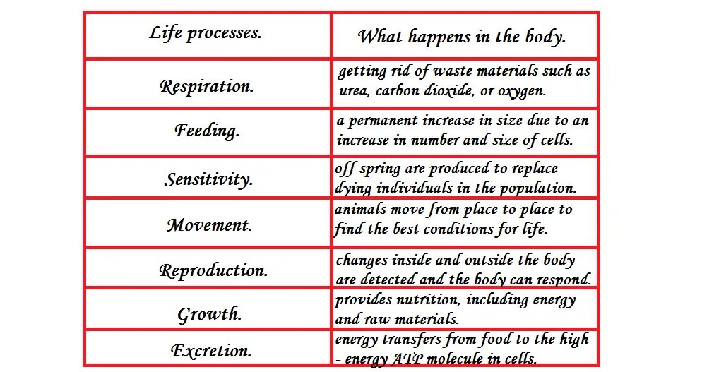 Processes of Life. 7 Life processes. Seven Life process. All Life processes. Life processes