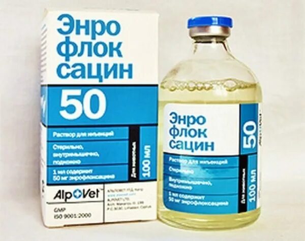 Энрофлоксацин инструкция по применению для птиц. Энрофлоксацин 100. энрофлон для птиц. энрофлоксацин ветеринарный. энрофлоксацин для птиц.