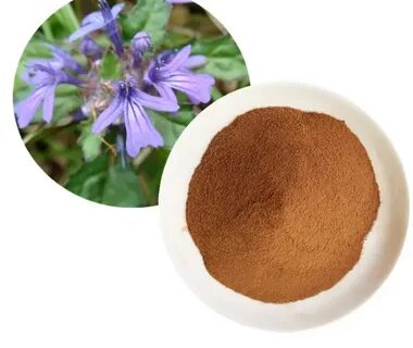 Plant extract