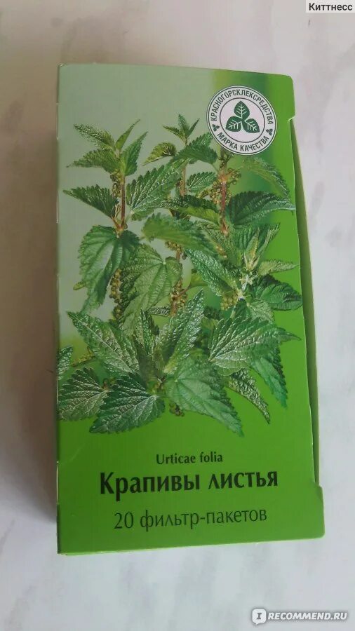Крапива при кровотечениях месячных отзывы. Крапива от кровотечения. крапивы листья месячных от кровотечения. успокоительное крапива. крапива помогает при кровотечении.