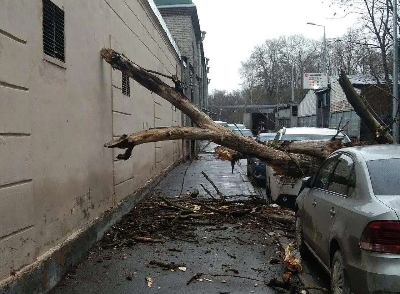 Ураган в санкт петербурге вчера. Ураган в санкт петербурге. последствия сильного ветра. сильный ветер. сильный ветер в санкт-петербурге.