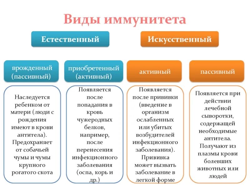 Естественный иммунитет особенности. Виды иммунитета естественный искусственный активный пассивный. Естественный врожденный иммунитет. Естественный иммунитет и искусственный иммунитет. Естественный иммунитет врожденный и приобретенный.