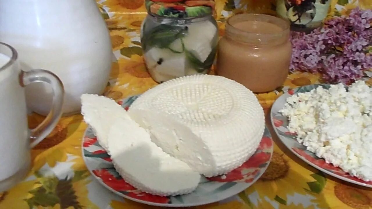 Домашний козий сыр из творога. Молоко домашнее. Молочная продукция из козьего молока. Продукты из козьего молока. Сметана домашняя.