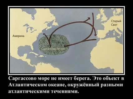 Саргассово море самое большое в мировом океане