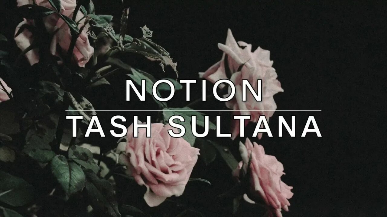 Notion песня. Notion текст. Notion обложка песни. Tash Sultana notion album Cover. Notion песня текст