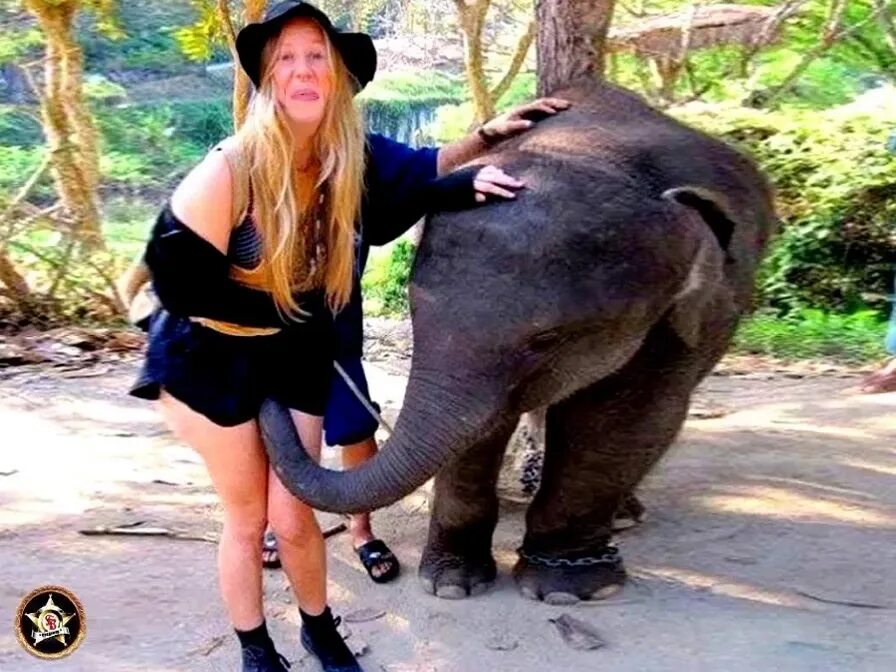 Собака на пляже. Приколы 2020 года смех до слёз. Девушка с собакой на пляже. Где смешные ролики. Детские смешные видеоролики.