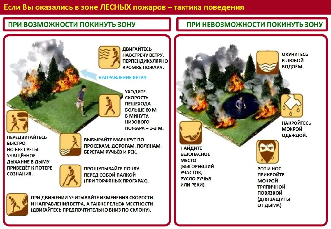 Как выйти из лесного пожара. Действия при попадании в зону лесного пожара. Правила поведения человека в зоне лесного пожара. Памятка по действиям при возникновении лесного пожара. Алгоритм действий при пожаре в лесу ОБЖ.