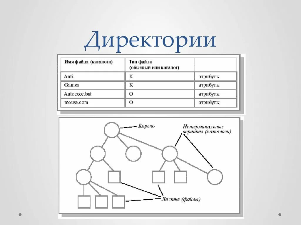 Файловой системы директория. Директория это в информатике. Понятие директория в информатике. Директория в программировании это. Папка directory