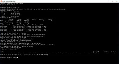 Cat grep