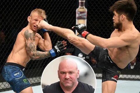 Ufc 16