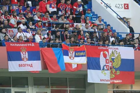 Как в сербии относятся к русским