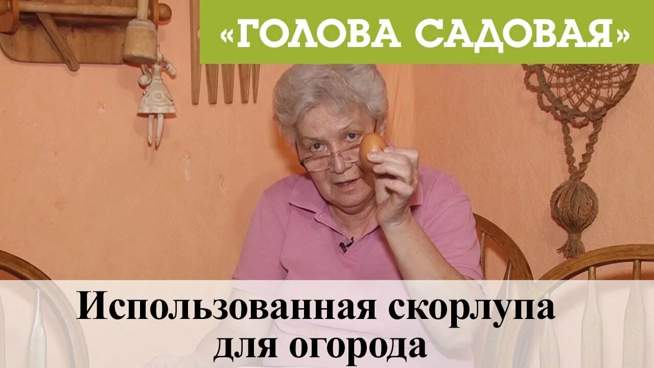 Огородных девиц с тетей таней. Голова садовая. голова садовая с тетей таней. голова садовая тетя таня 2025. институт огородных тетя таня.