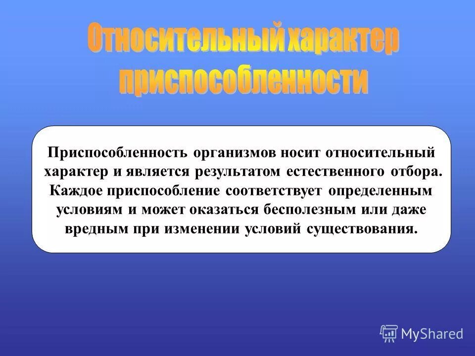 Адаптация организмов к окружающей среде. Приспособление к определенным условиям называется. Относительный характер адаптации. Поведенческие адаптации. Относительный характер приспособленности примеры.