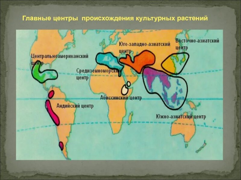 Центр происхождения культурных растений таблица по биологии. Центры многообразия и происхождения культурных растений. Центры доместикации культурных растений. Вавилов центры происхождения культурных растений карта. Центр происхождения культурных растений Южной Америки.