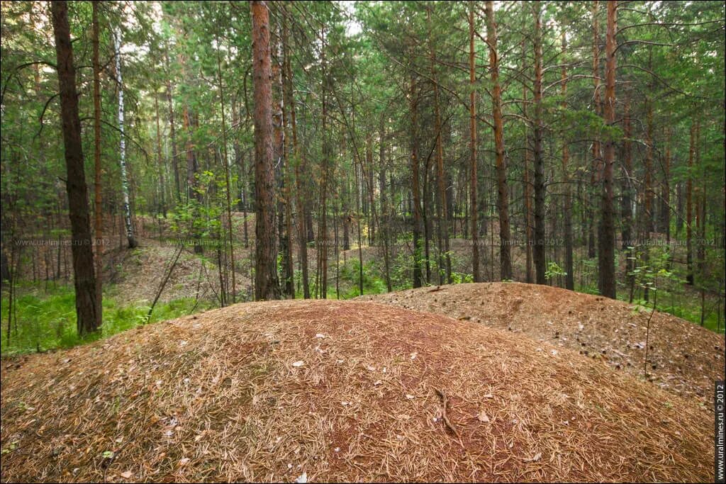 Поселок руде в нижегородской области. Елизаветинский рудник Екатеринбург. Шиловский Кряж. Шиловский Кряж Екатеринбург. Елизаветинское месторождение.