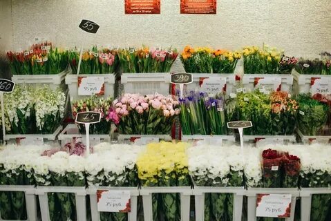 Мир цветов москва