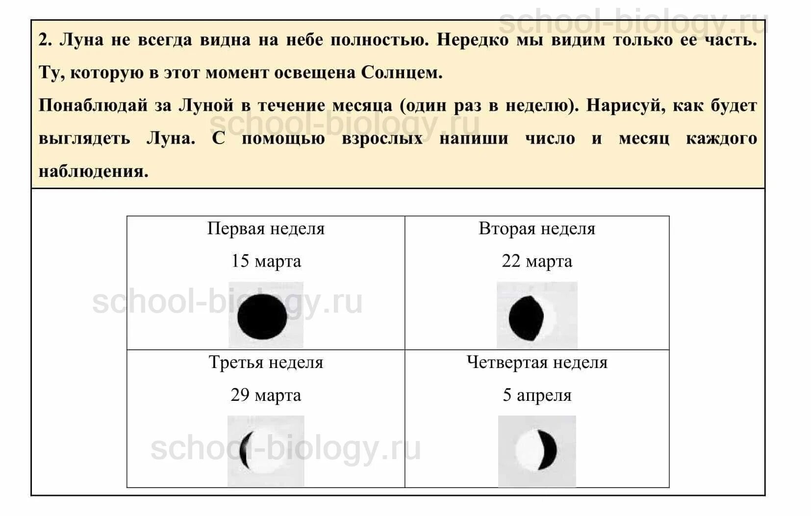 Неба совсем не видно. Наблюдение за луной в течение месяца окружающий мир. Наблюдение за луной окружающий мир 1 класс. Дневник наблюдения за луной. Окружающий мир 1 класс рабочая тетрадь научный дневник.