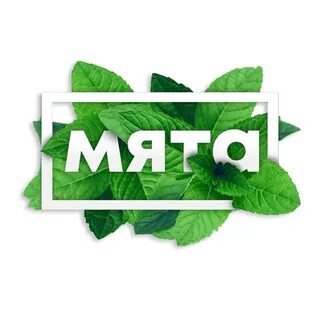 Мята войти без регистрации