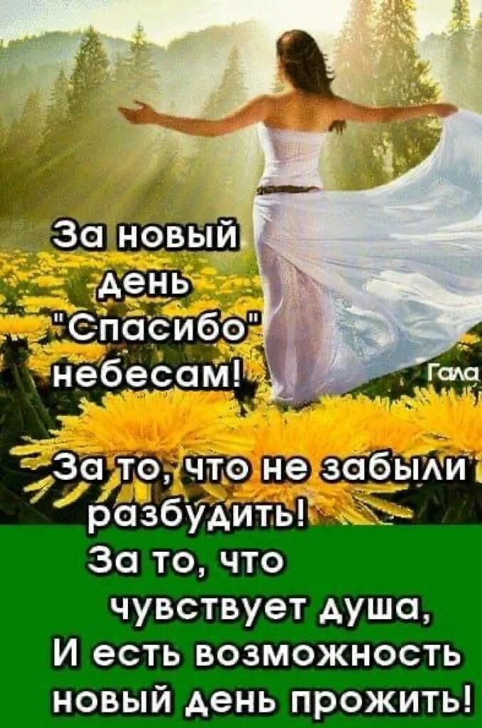 Спасибо небесам за то что я живу. За новый день спасибо небесам. за новый день спасибо небесам с добрым утром. за новый день спасибо небесам картинки.
