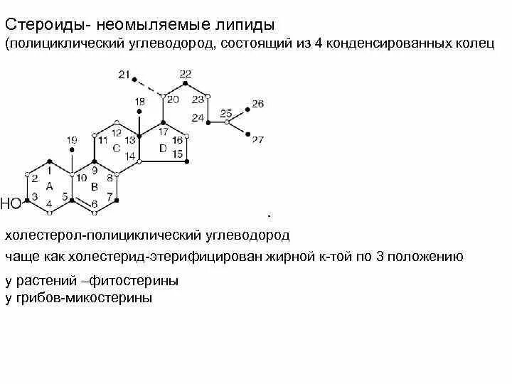Стероидные липиды. Стероиды желчные кислоты. Сложные липиды. Формула стероидов биохимия. Стероидные липиды.