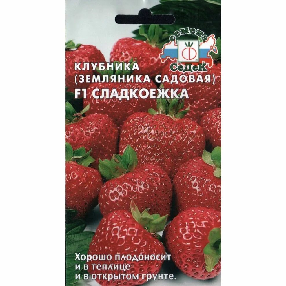 Сладкоежка описание. Клубника земляника ремонтантная сладкоежка f1 крупноплодная /СЕДЕК/. Земляника сладкоежка ремонтантная крупноплод. (СЕДЕК) Ц. Семена клубника Сластена f1.