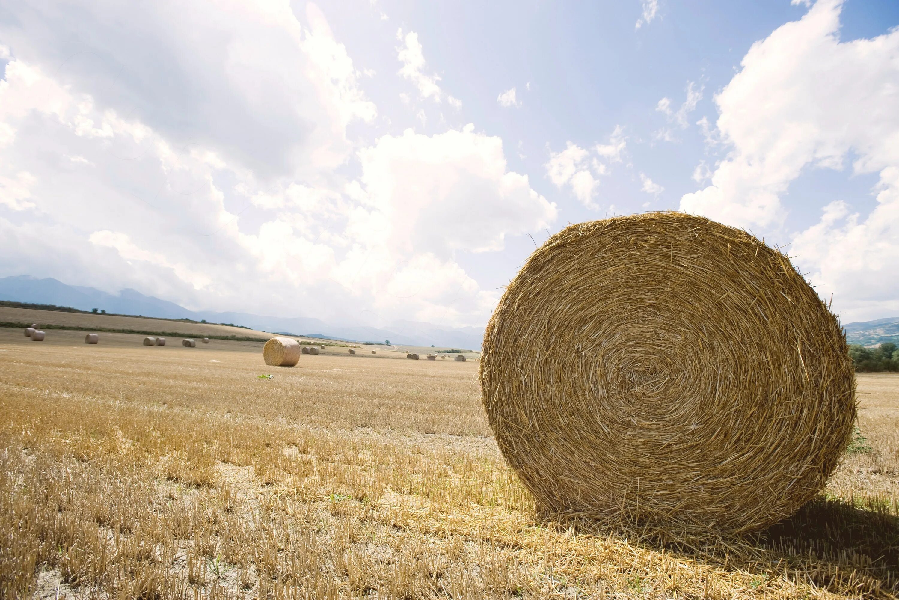 Калязин. По былинке стог. Сенокос стог сена. Скирда соломы. Стог скирда копна.